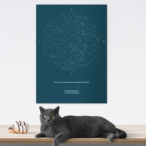 Una mappa stellare grigio-blu con un gatto accanto