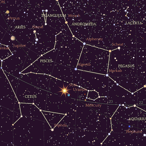 Design Cielo notturno in mora: il Sole tra le costellazioni